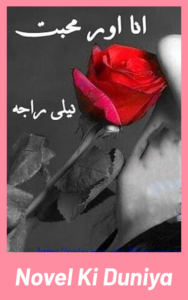 Ana Aur Mohabbat Novel By Neeli Raja Cover