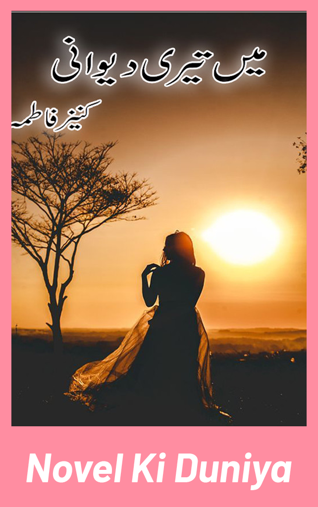 Main Teri Deewani