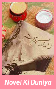 Zandan e Zaat Novel By Fatima Niazi suspense Urdu novel cover