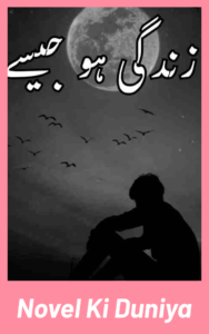 Zindagi Ho Jaise Novel By Eman Khan Complete PDF Cover Image