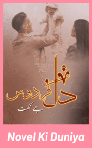 Dil E Firdous By J Nikhat Complete Novel Review