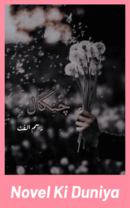 Cover image of Chingal by Rasme Ulfat Urdu novel