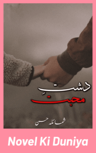 Dashat E Muhabbat By Shumaila Hassan full review, story overview, characters and themes.