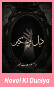 Dil K Makeen by Mehtaab Zahoor complete Urdu novel cover.