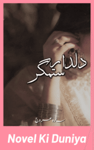 Dildar Sitamgar By Sara Urooj full review, story overview, characters and themes.