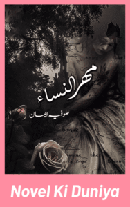 Mehrulnissa By Sofia Eman full review, story overview, characters and themes.