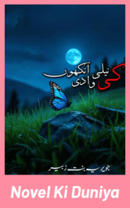 Neeli Ankhon Ki Waadi By Javeria Bint E Zubair full review, story overview, characters and themes.