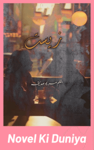 Cover image of Zeest by Maryam Siddiqa Urdu novel