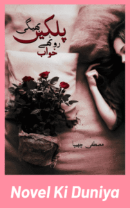 Cover image of Bheegi Palkein Roothe Khwab by Mustufa Chheepa Urdu novel