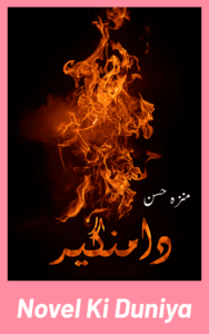 Cover image of Damangir by Minza Hassan Urdu novel