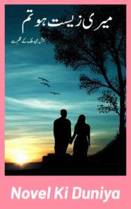 Cover image of Meri Zeest Ho Tum by Beenish Majeed Malik Urdu novel
