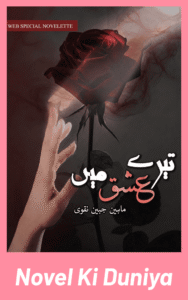 Cover image of Tere Ishq Me by Maheen Jabeen Naqvee Urdu novel