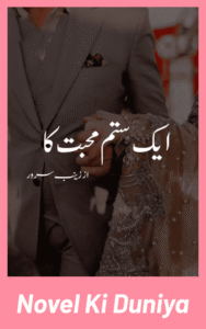Cover image of Aik Sitam Muhabbat Ka by Zainab Sarwar Urdu novel