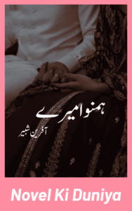 Humnava Mere by Afreen Shabir Urdu Novel
