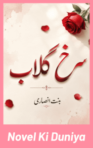 Surkh Gulaab by Bint E Ansaari Urdu Novel