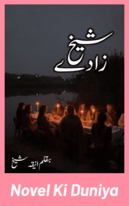 Sheikh Zaade by Aneeqa Sheikh Urdu Novel