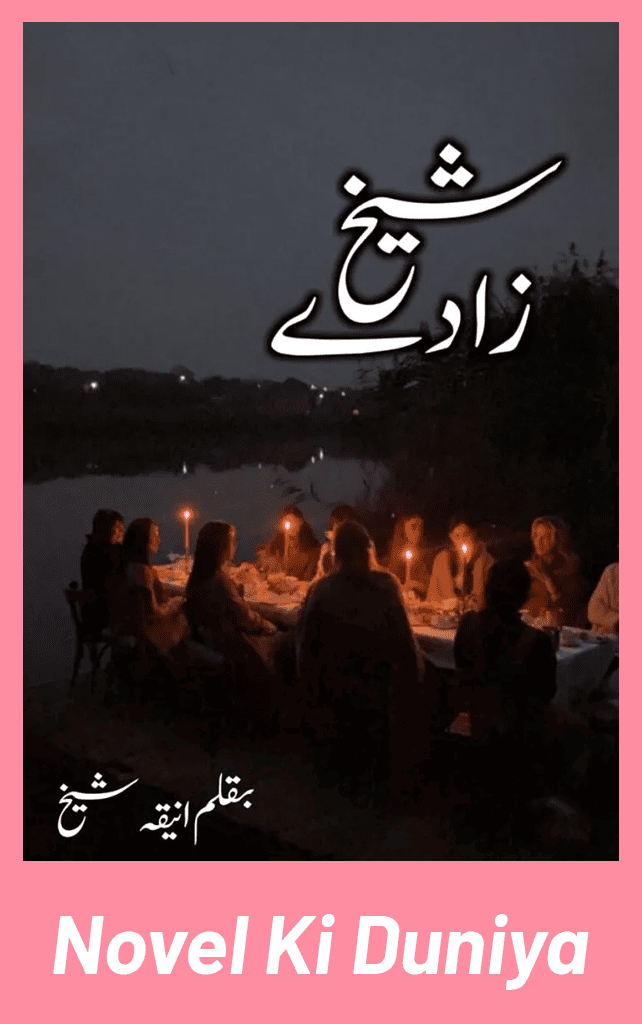 Sheikh Zaade by Aneeqa Sheikh Urdu Novel