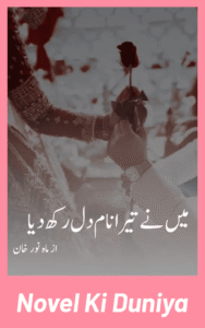 Main Ne Tera Naam Dil Rakh Diya by Mah Noor Khan Complete Urdu Novel PDF